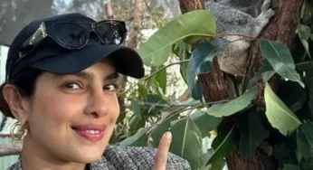 Priyanka Chopra Reacts with ‘Are You Serious?’ After Discovering an Aussie Koala Named After Her. Watch | Bollywood