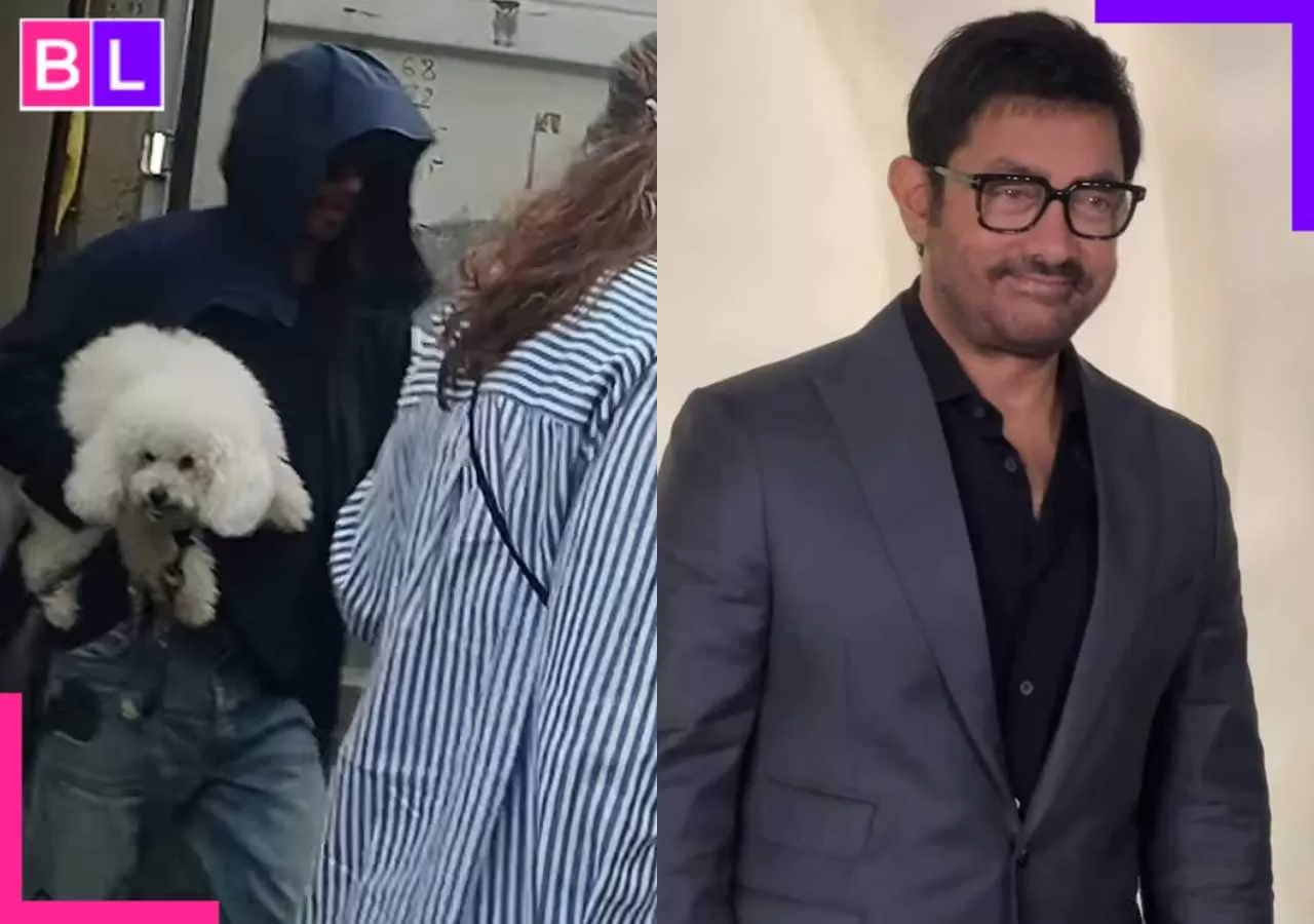 Shah Rukh Khan takes his furry friend to a wedding, Aamir Khan steals the spotlight, and Ranbir Kapoor’s Animal almost featured a surprising guest…